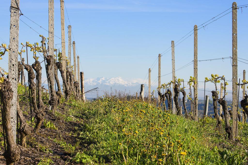 I Tre Poggi Dimora Di Charme Villa Canelli Luaran gambar
